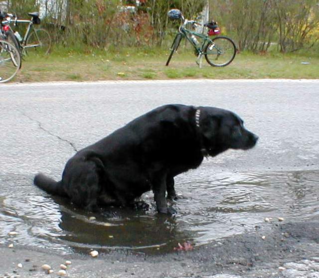 Click to return to photos page.