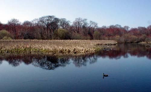 Click to return to photos page.