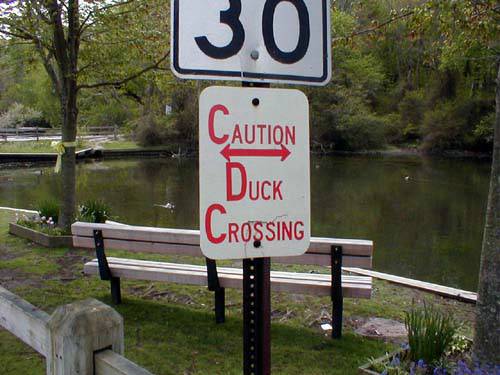 Click to return to photos page.