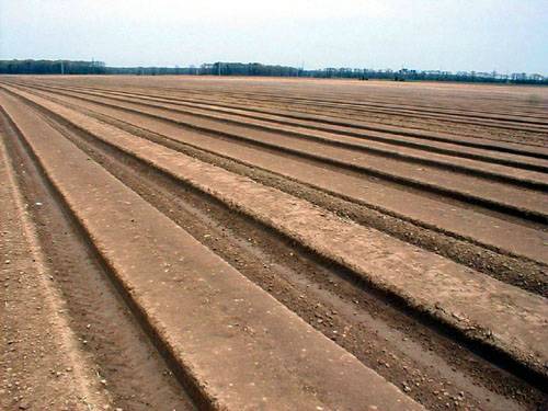 Click to return to photos page.